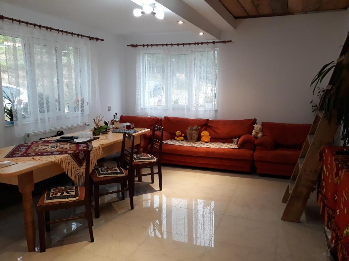 Colibiţa Casa Geanina B&B 외부 사진