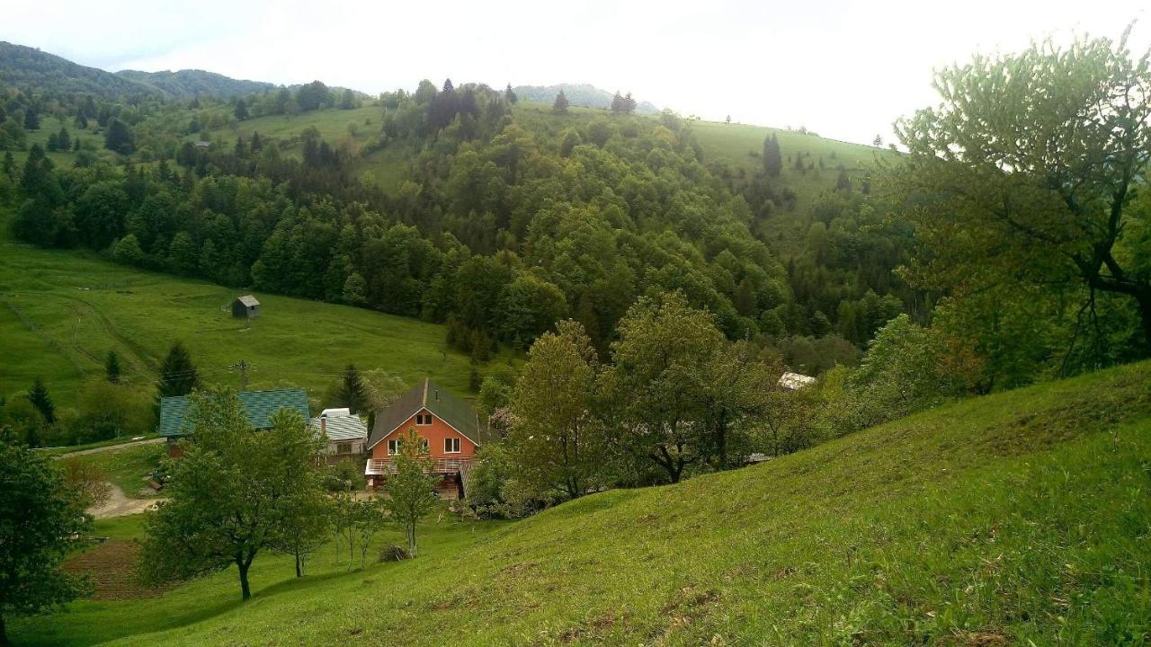 Colibiţa Casa Geanina B&B 외부 사진