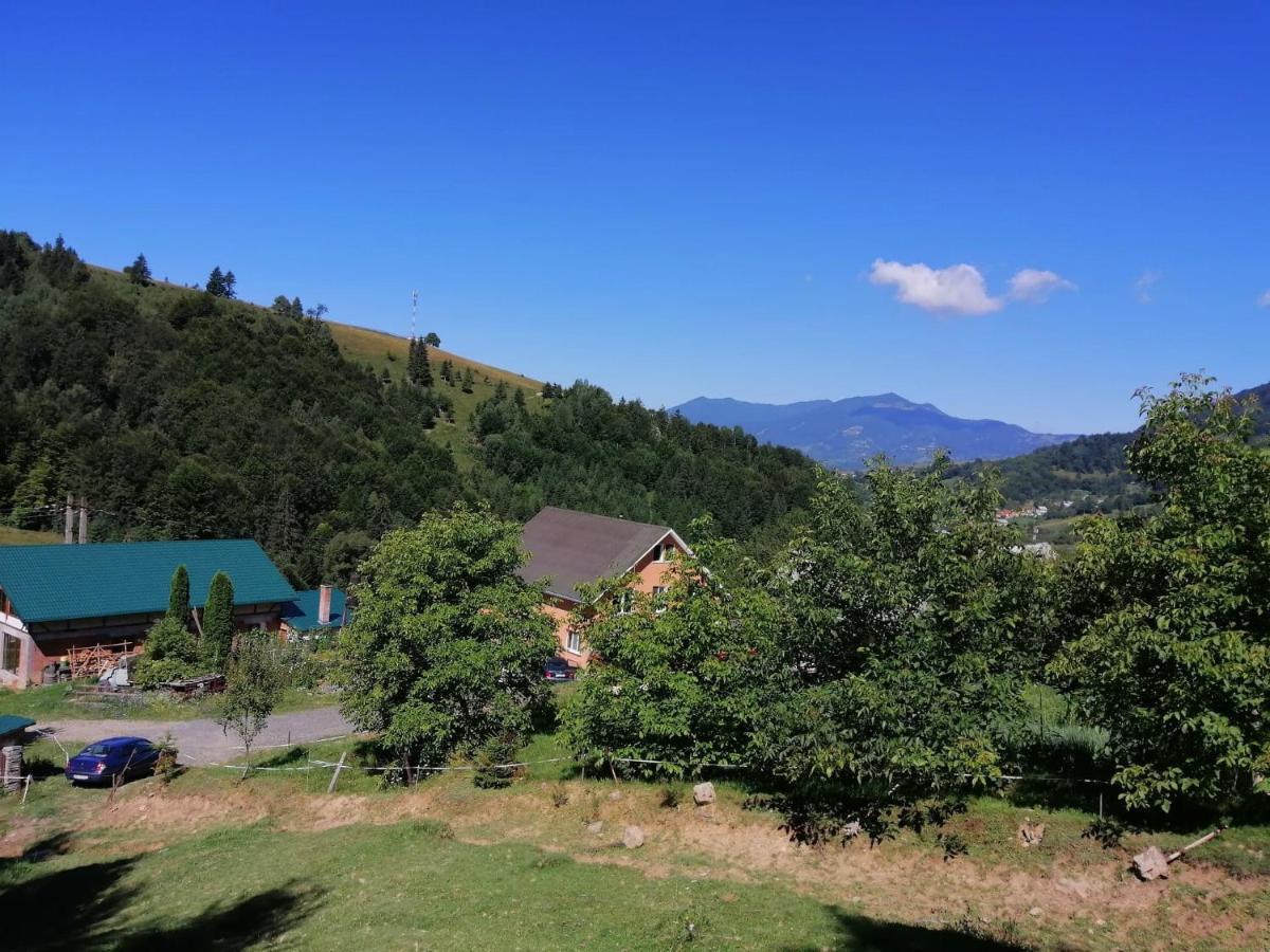 Colibiţa Casa Geanina B&B 외부 사진