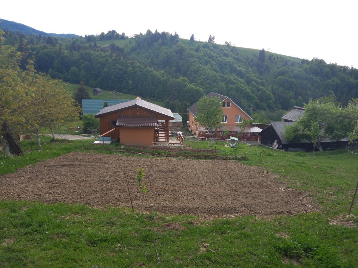 Colibiţa Casa Geanina B&B 외부 사진