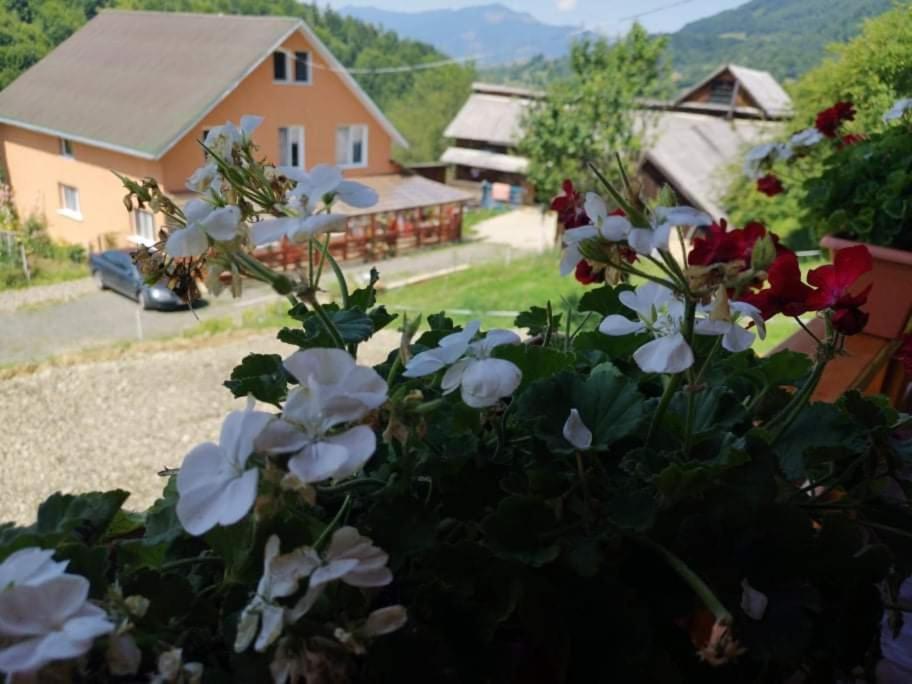Colibiţa Casa Geanina B&B 외부 사진