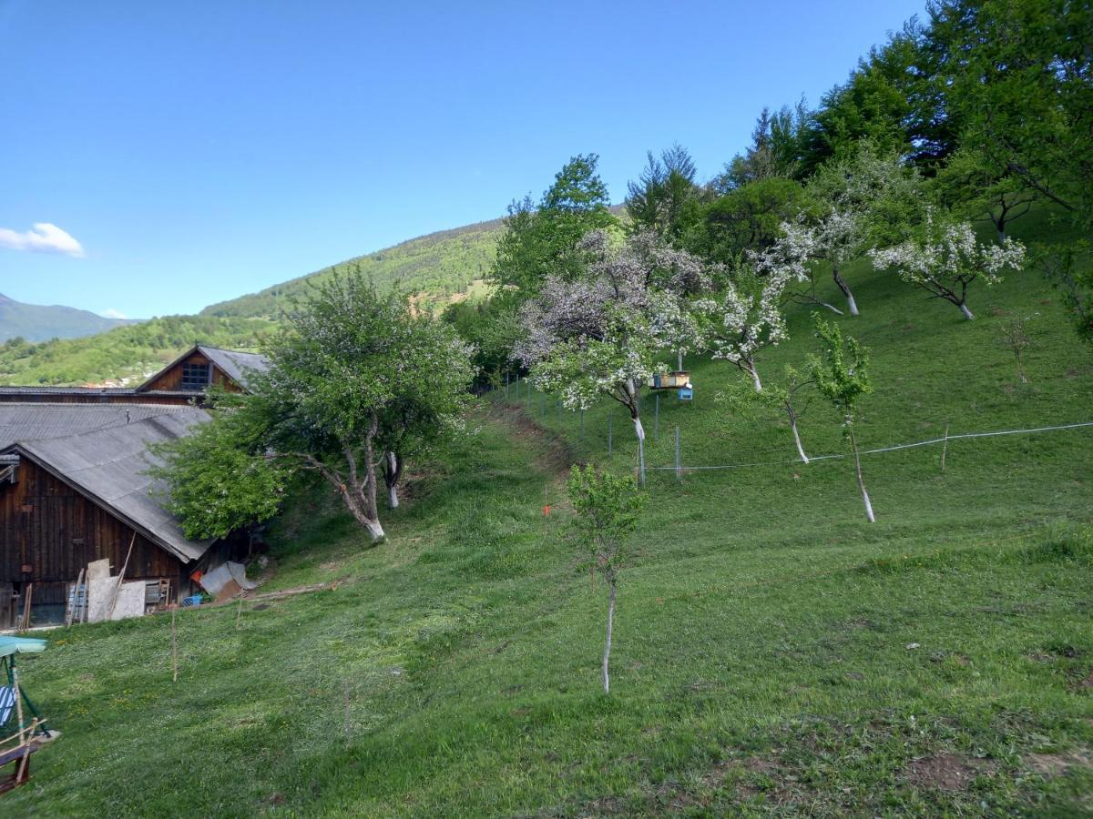 Colibiţa Casa Geanina B&B 외부 사진