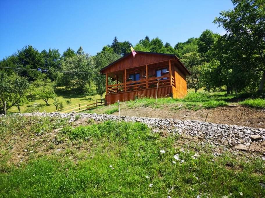 Colibiţa Casa Geanina B&B 외부 사진