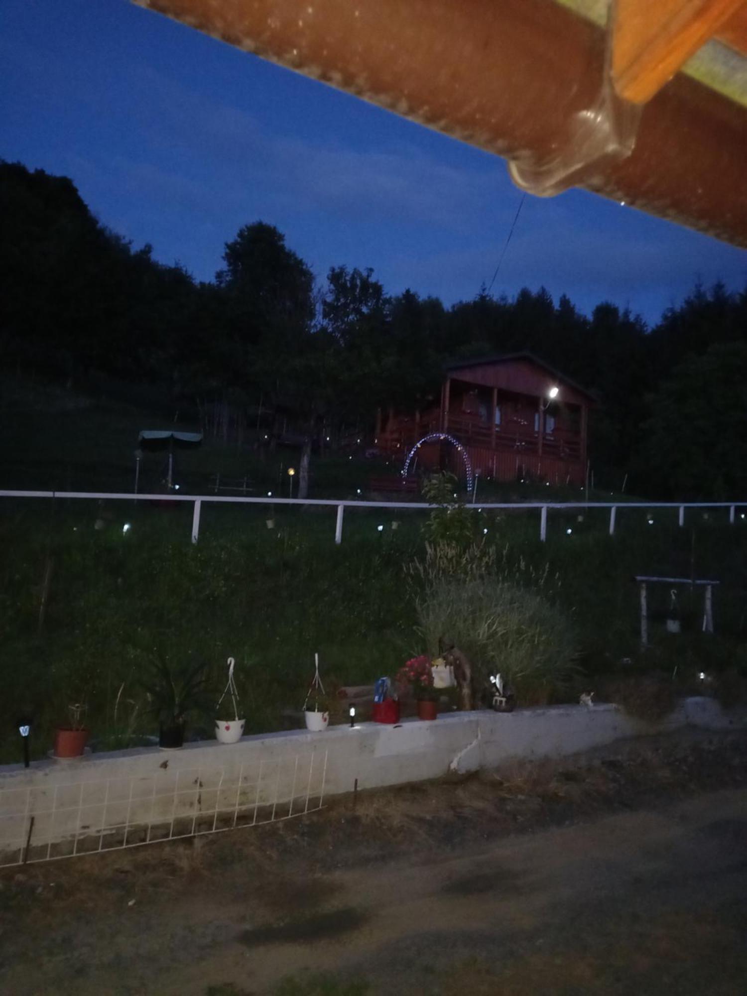 Colibiţa Casa Geanina B&B 외부 사진