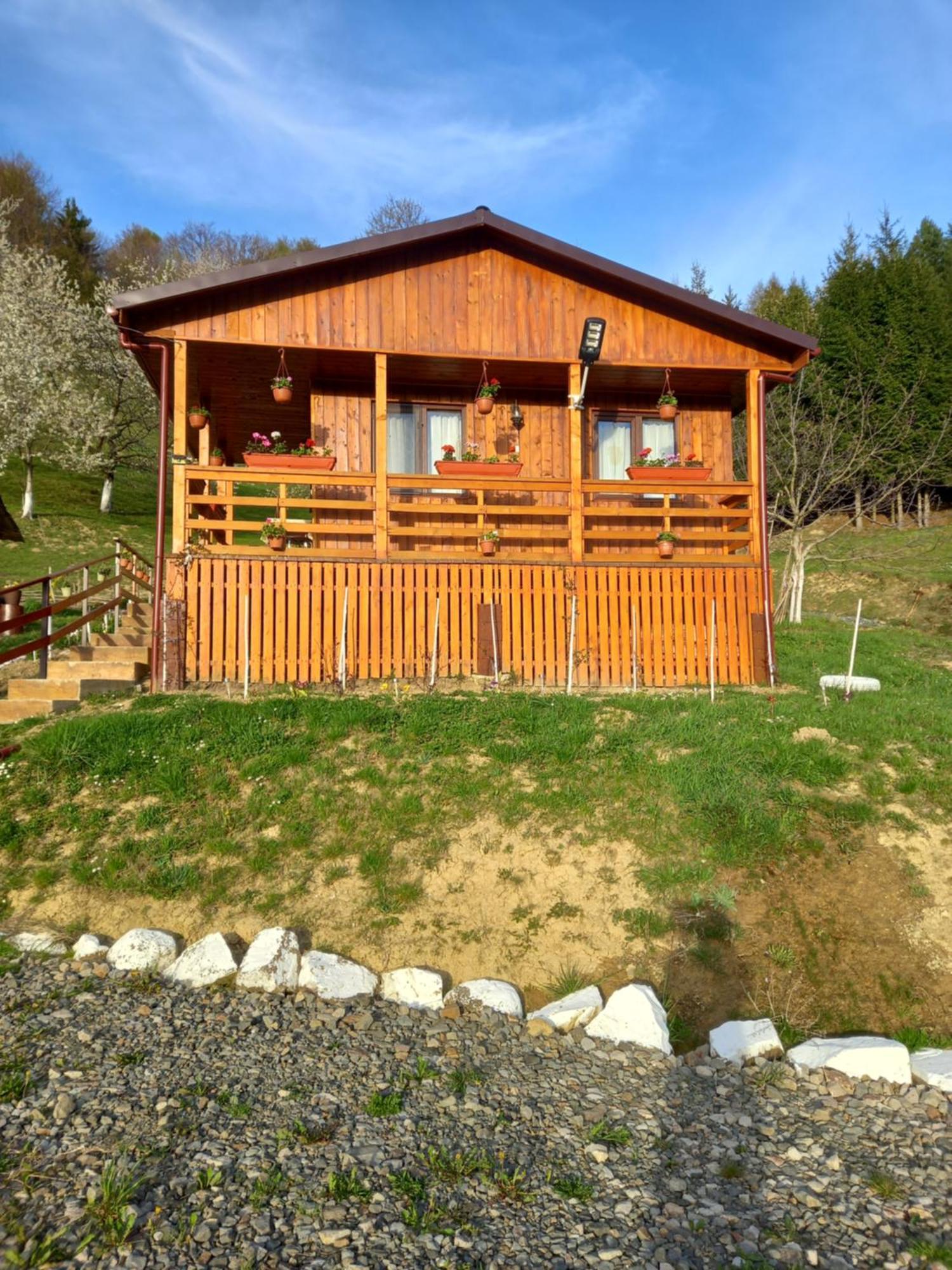 Colibiţa Casa Geanina B&B 외부 사진
