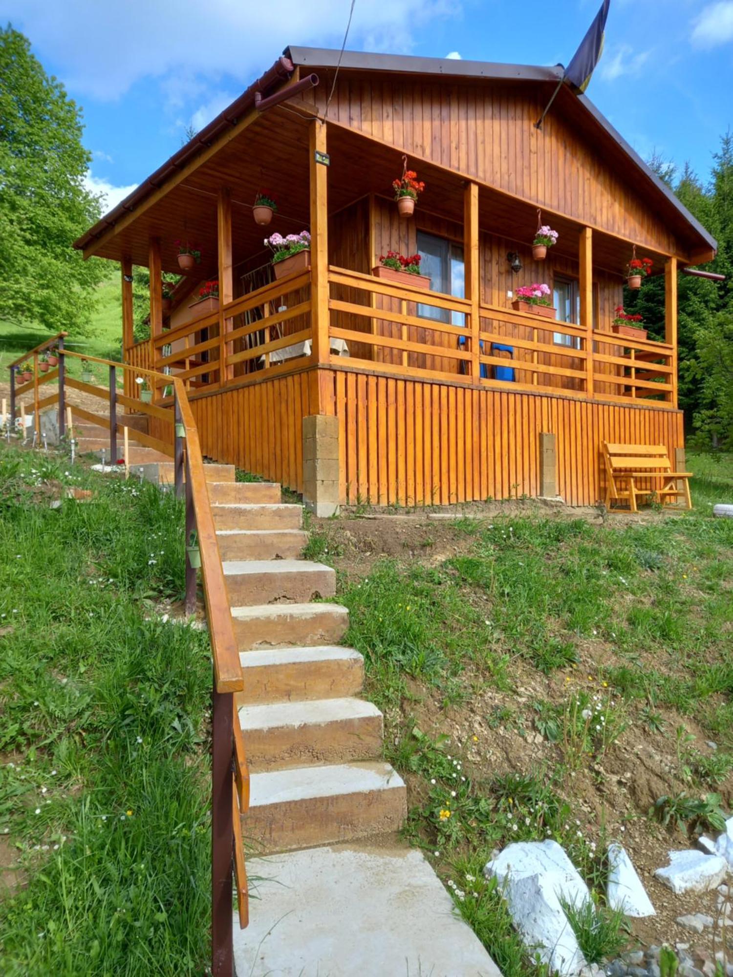 Colibiţa Casa Geanina B&B 외부 사진