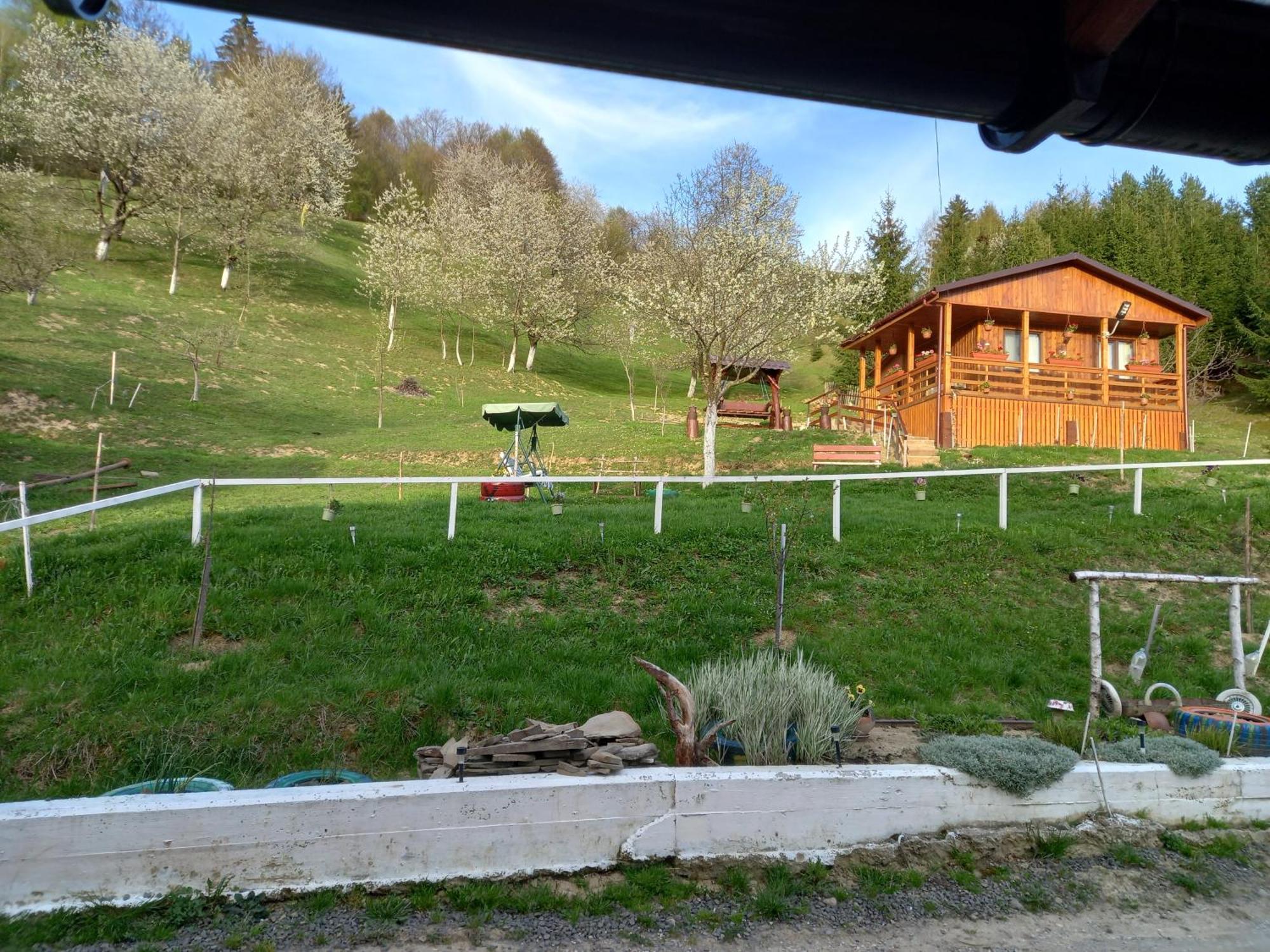 Colibiţa Casa Geanina B&B 외부 사진