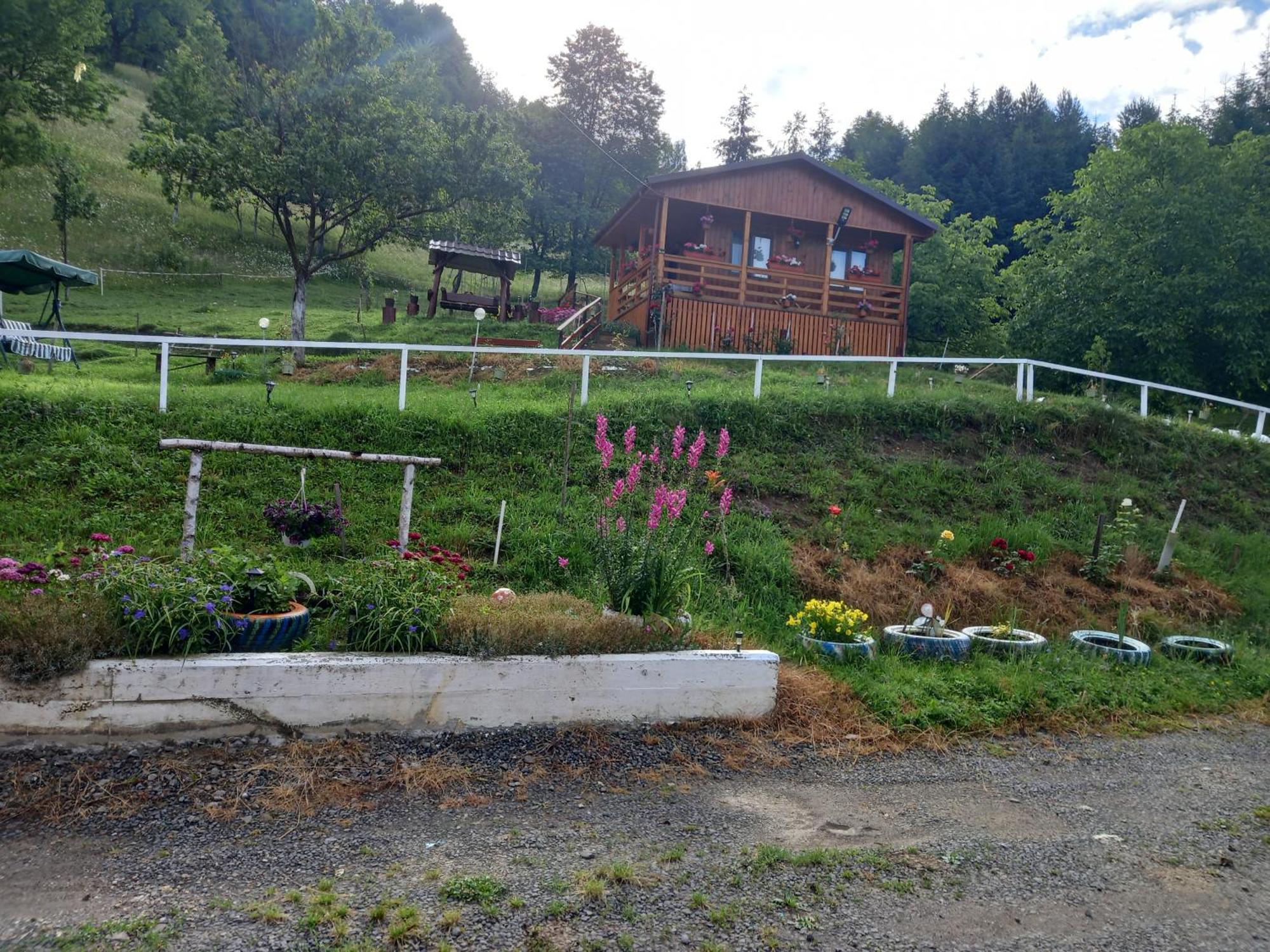 Colibiţa Casa Geanina B&B 외부 사진
