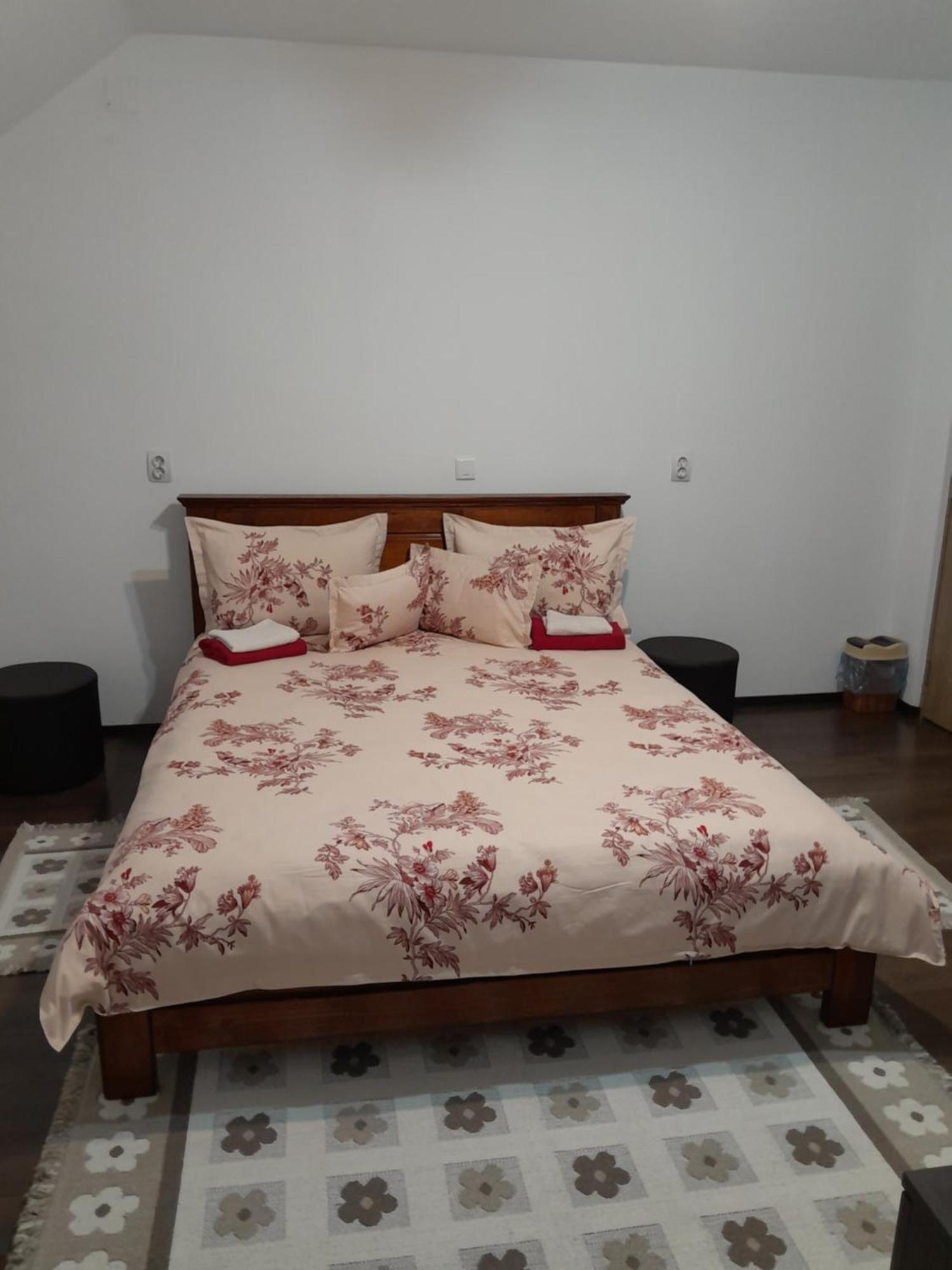 Colibiţa Casa Geanina B&B 외부 사진