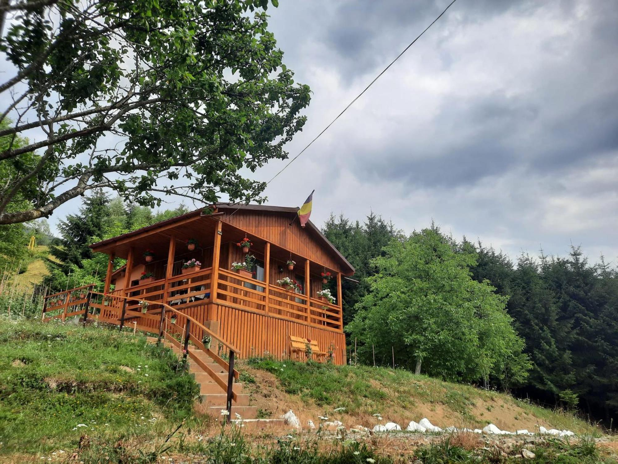 Colibiţa Casa Geanina B&B 외부 사진