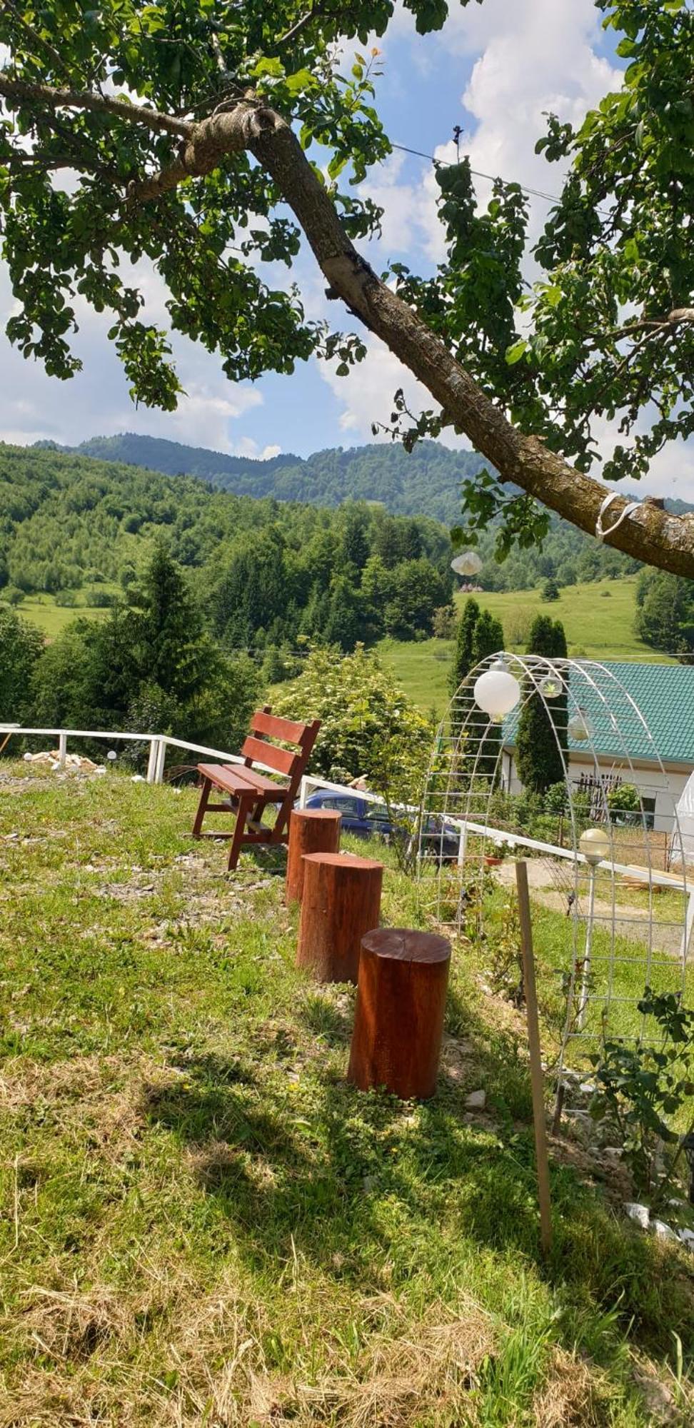 Colibiţa Casa Geanina B&B 외부 사진