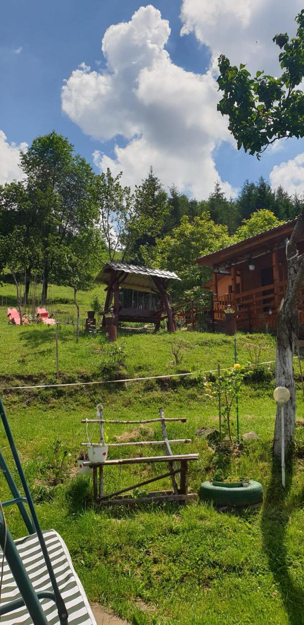 Colibiţa Casa Geanina B&B 외부 사진