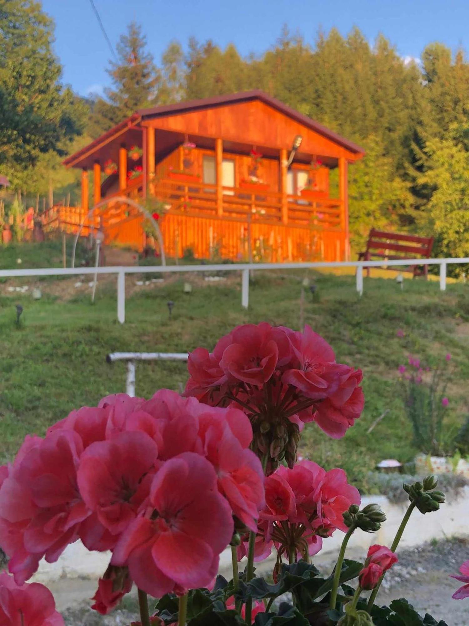 Colibiţa Casa Geanina B&B 외부 사진