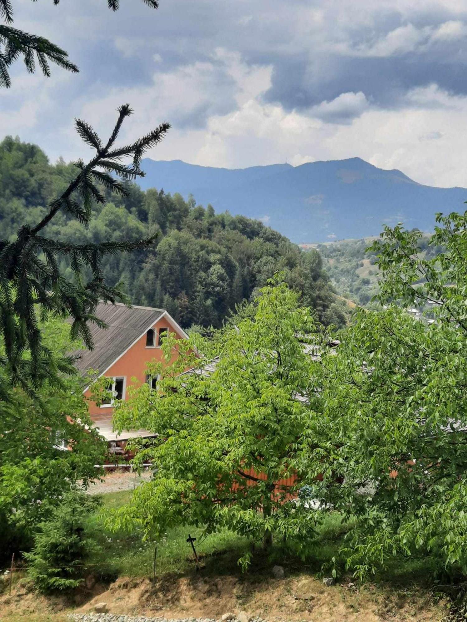 Colibiţa Casa Geanina B&B 외부 사진